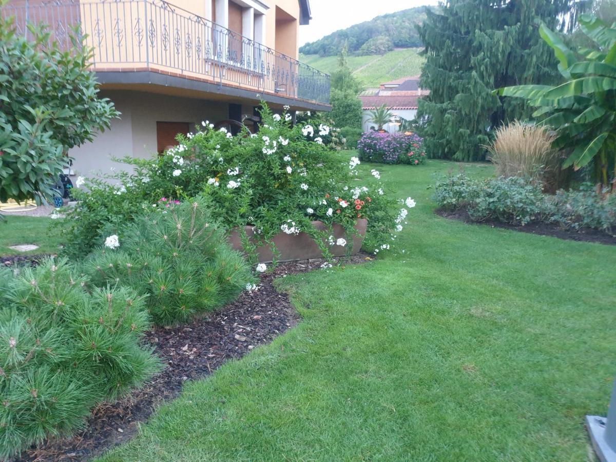 La Rocatelle Apartment Andlau-au-Val Exterior photo